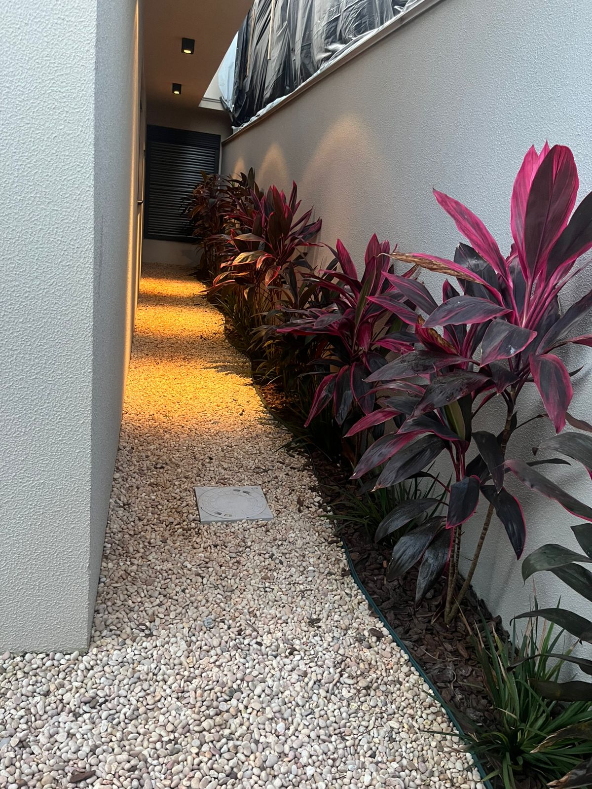 Jardim lateral com dracenas